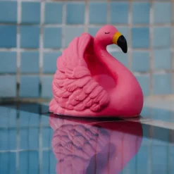 Bidedyr | Flamingo