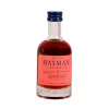 Haymans Sloe Gin miniature (5 cl)