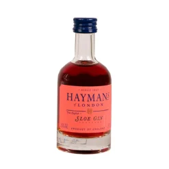 Haymans Sloe Gin miniature (5 cl)
