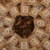 Kaffe julekalender - hele bønner 2026 | The Brew Company