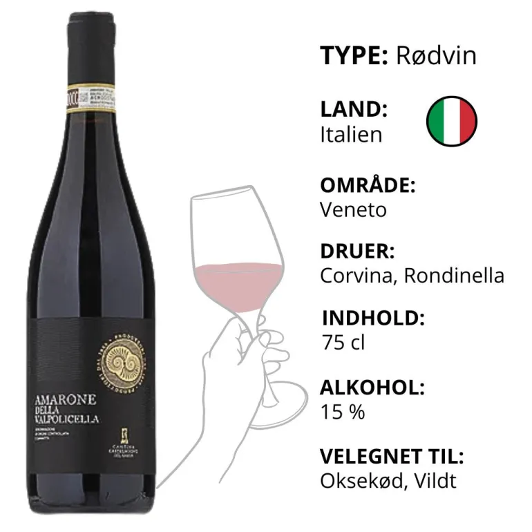 Rødvin, Cantina Castelnuovo del Garda - Amarone delle Valpolicella (Italien)