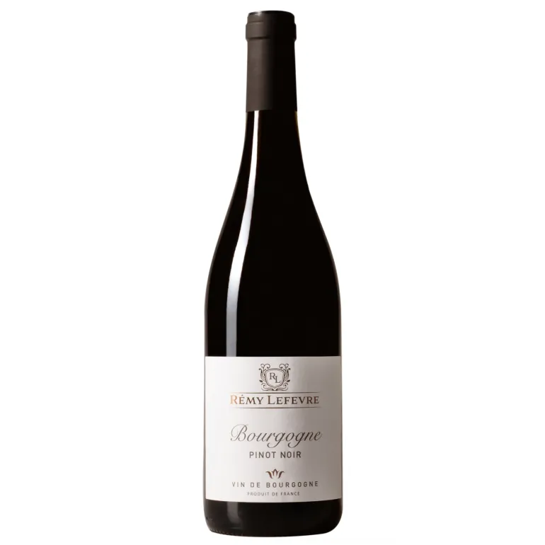 Rødvin, Rémy Lefevre - Bourgogne Pinot Noir (Frankrig)