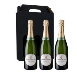 Vingave 3 fl. cava, Mousserende Castellblanc Cava Organic Brut Nature ØKO (Spanien)
