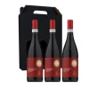 Vingave 3 fl. rødvin, Cantina Castelnuovo del Garda - Valpolicella Ripasso (Italien)