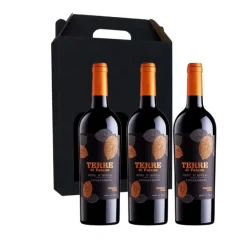 Vingave 3 fl. rødvin, Terre Di Faiano - Nero D´Avola ØKO (Italien)