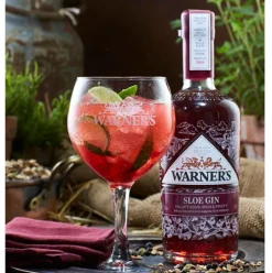 Warner's Sloe Gin, 5 cl