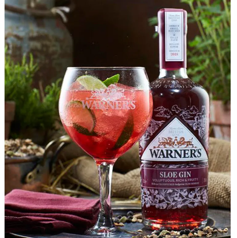Warner's Sloe Gin, 70 cl